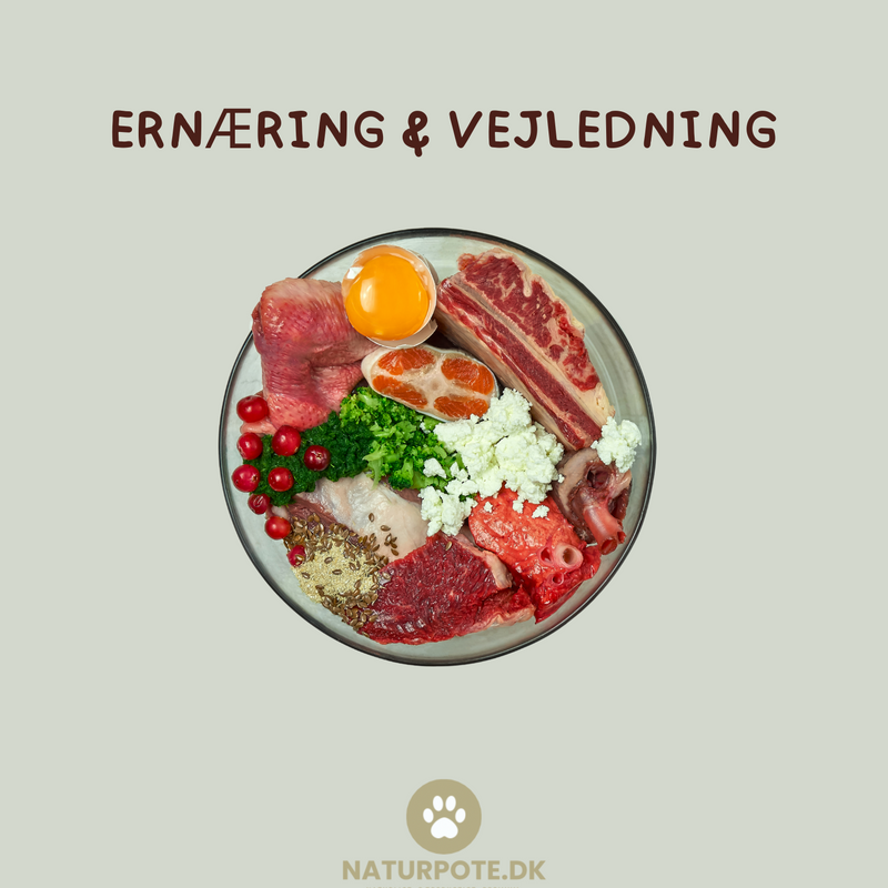 Ernæring & vejledning
