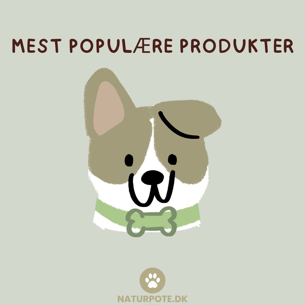 Mest Populære Produkter